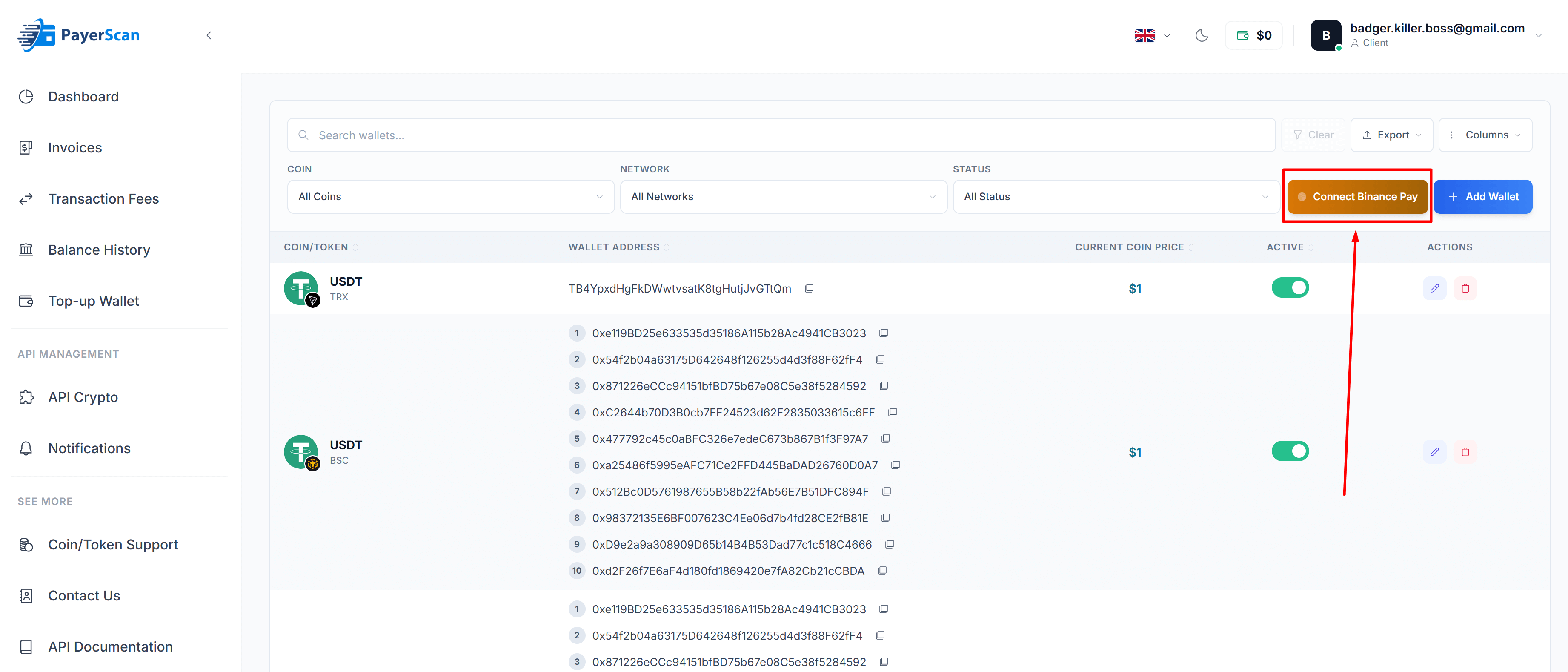 Step 2 — Click Connect Binance Pay button
